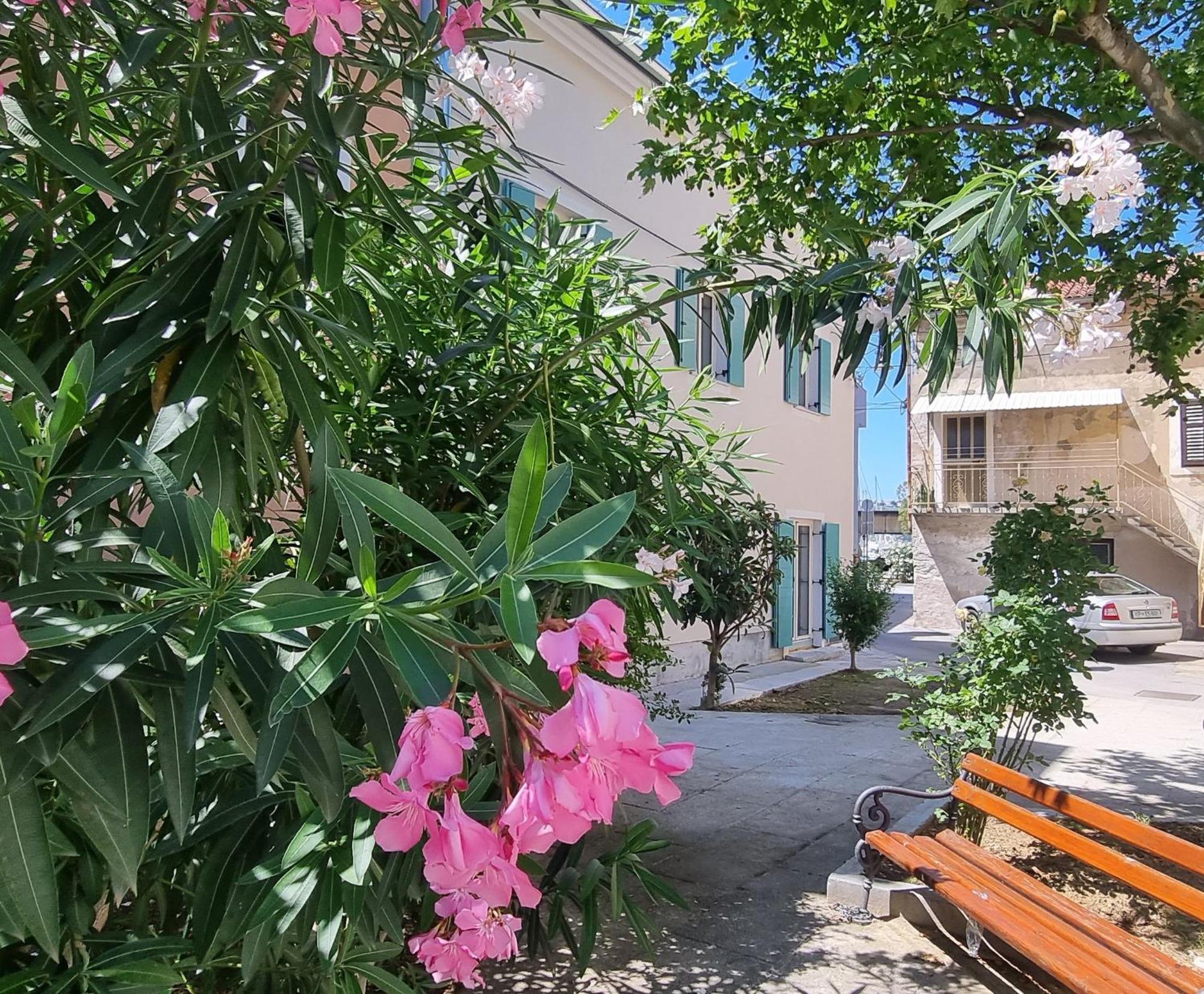 Dea Del Mar Apartments Izola Extérieur photo